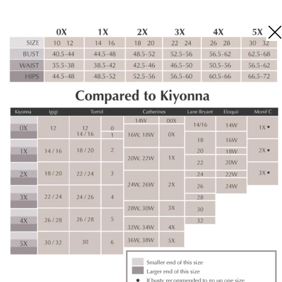 Kiyonna floral dress with pockets (super soft) - Picture 6 of 6